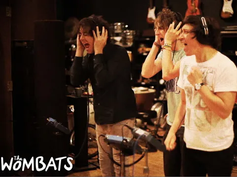 2216491-the-wombats.jpg