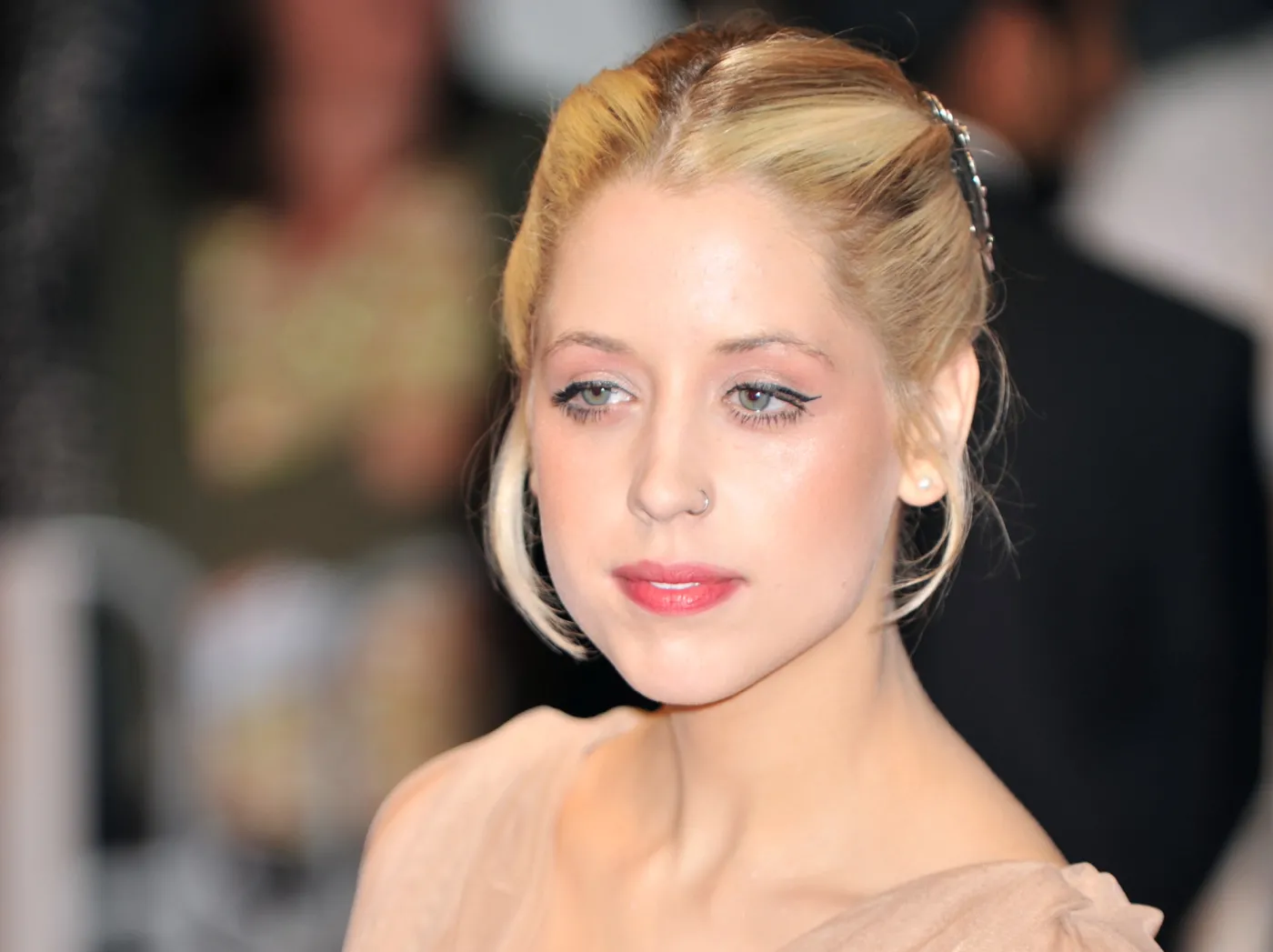 2740615-peaches-geldof.jpg