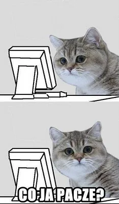 "Co ja paczę"