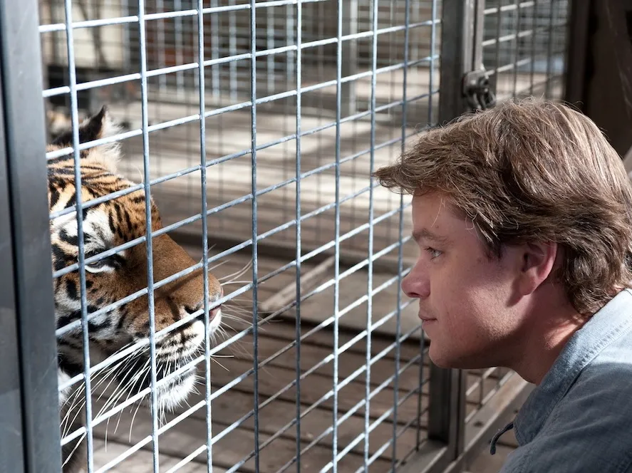 Kupiliśmy zoo