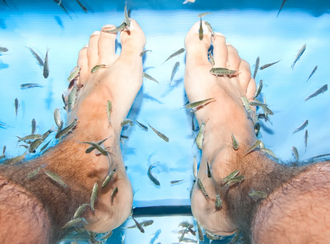 3451763-fish-pedicure.jpg