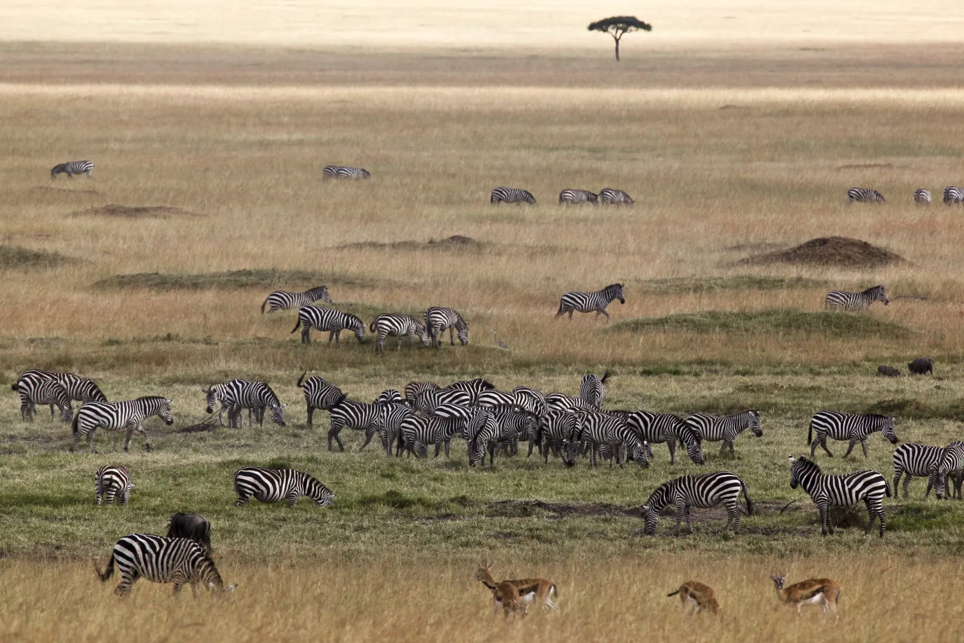 3200150-kenia-afryka.jpg