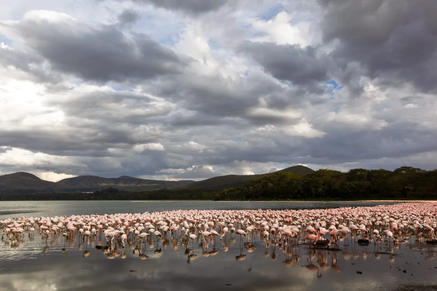 3200324-kenia-afryka.jpg