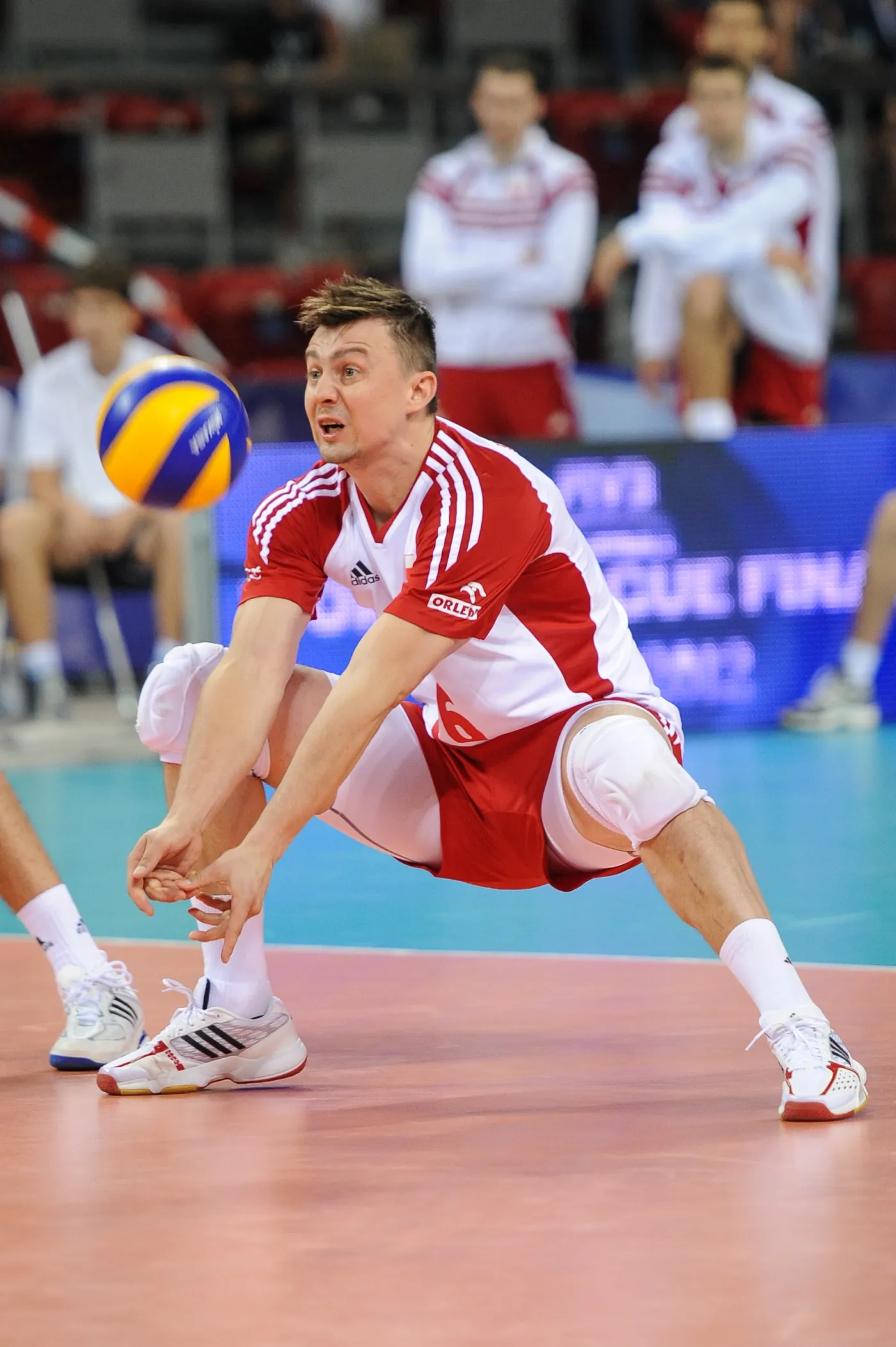 3745706-liga-swiatowa.jpg