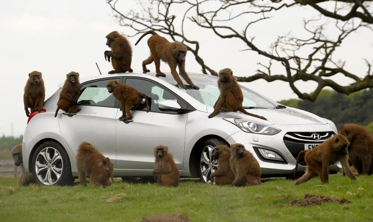 3478353-hyundai-i30.jpg