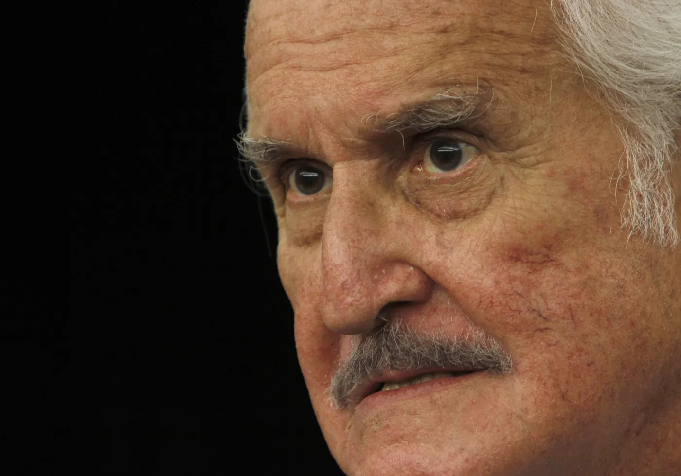4219951-carlos-fuentes.jpg