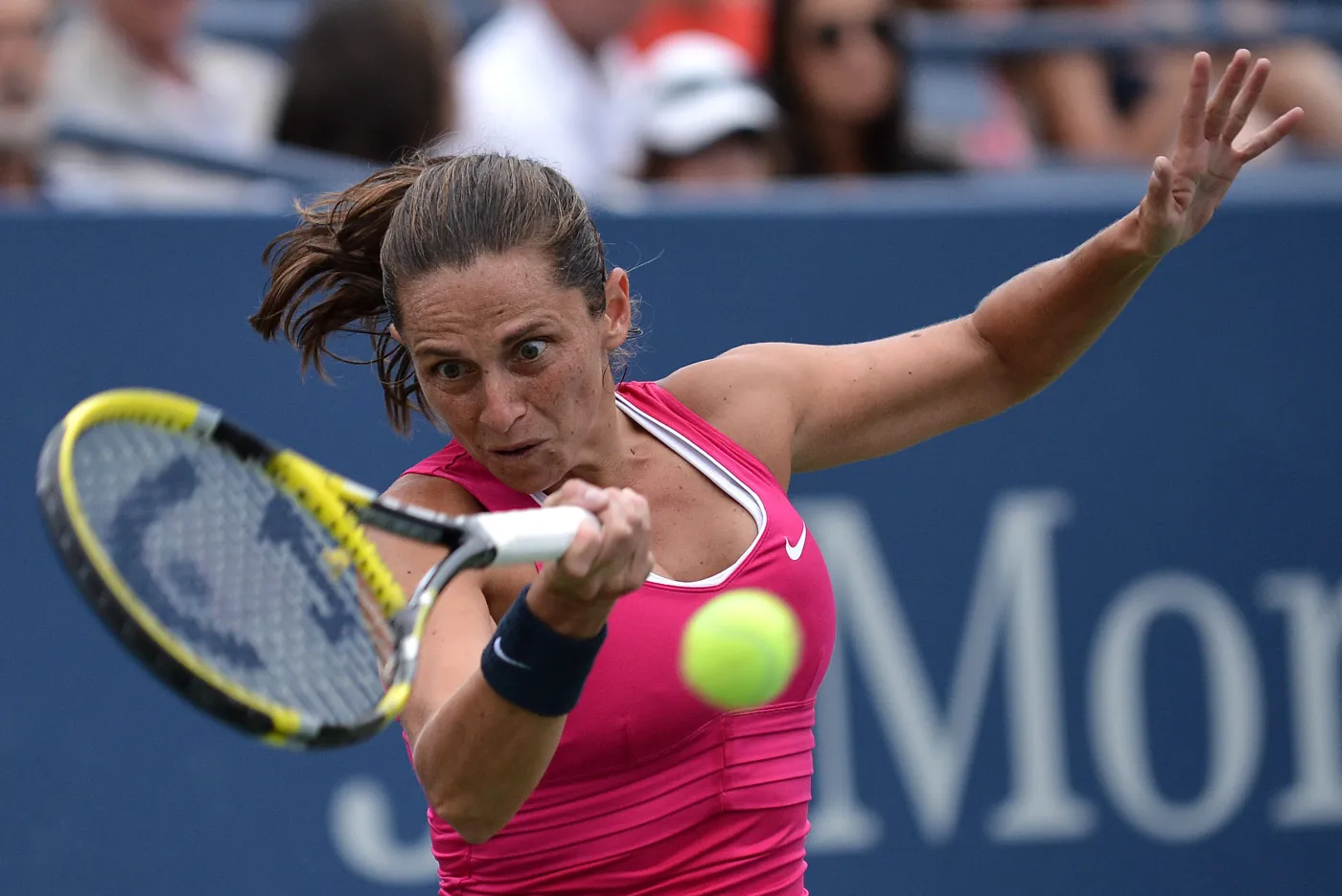 3985049-roberta-vinci.jpg