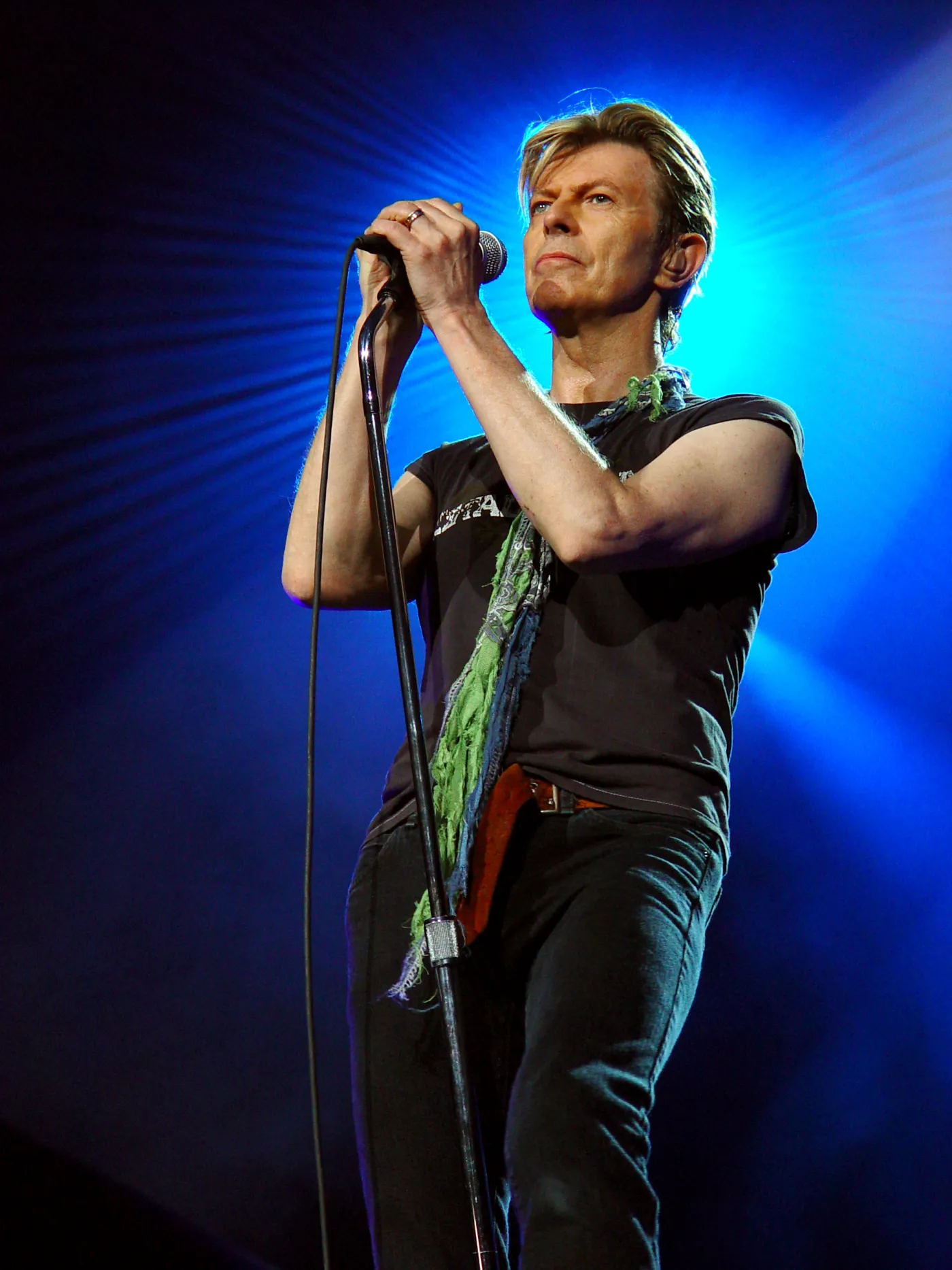 4493375-david-bowie.jpg