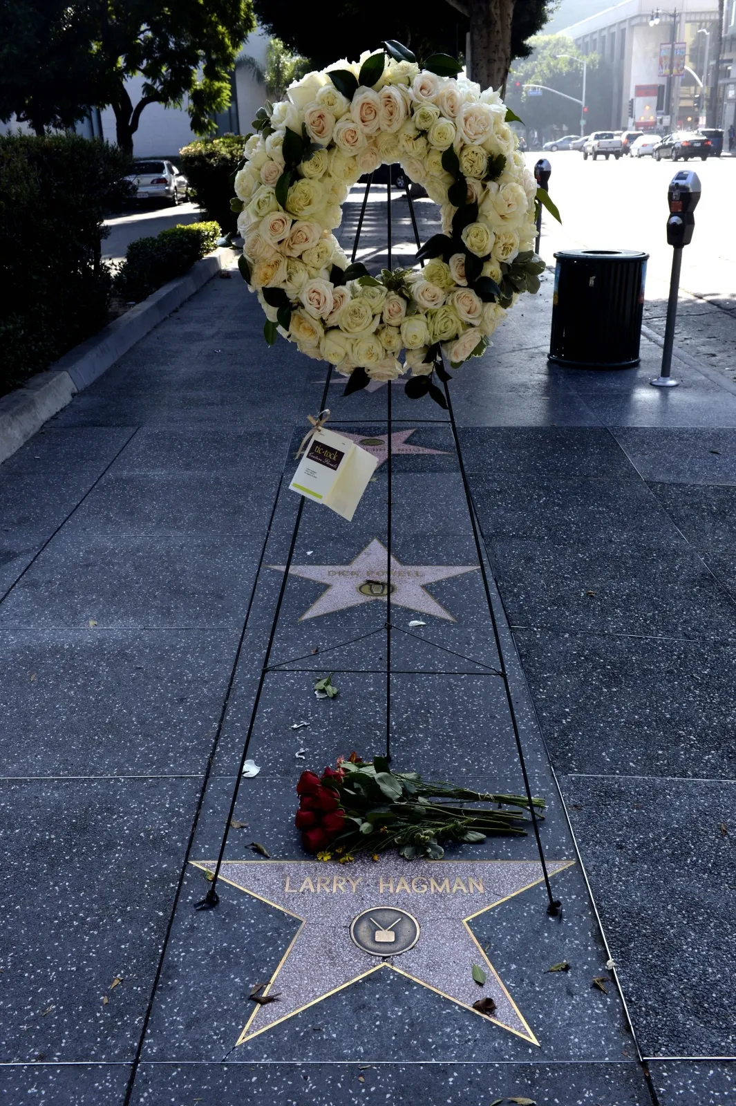 4319998-larry-hagman.jpg