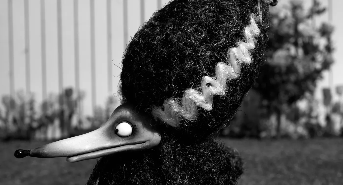 4070600-frankenweenie.jpg