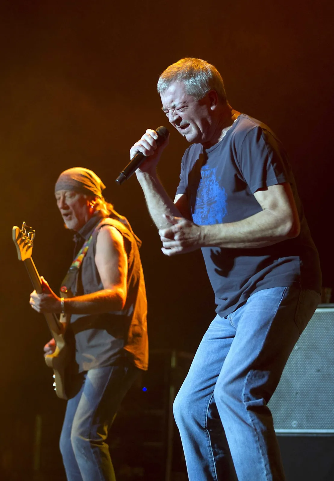 4379664-deep-purple.jpg