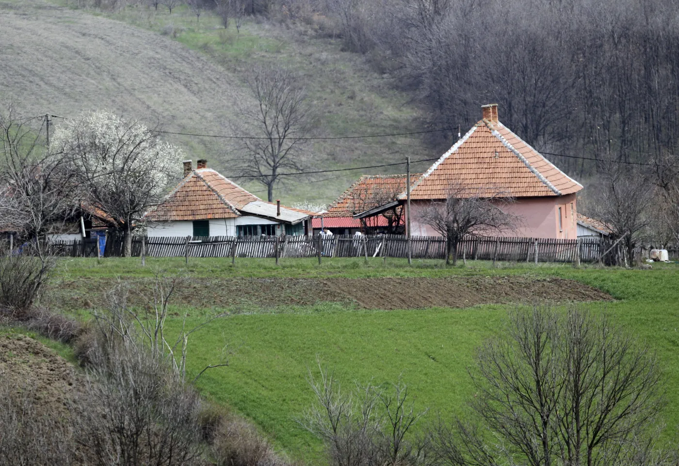 Nie żyje sprawca masakry w Serbii