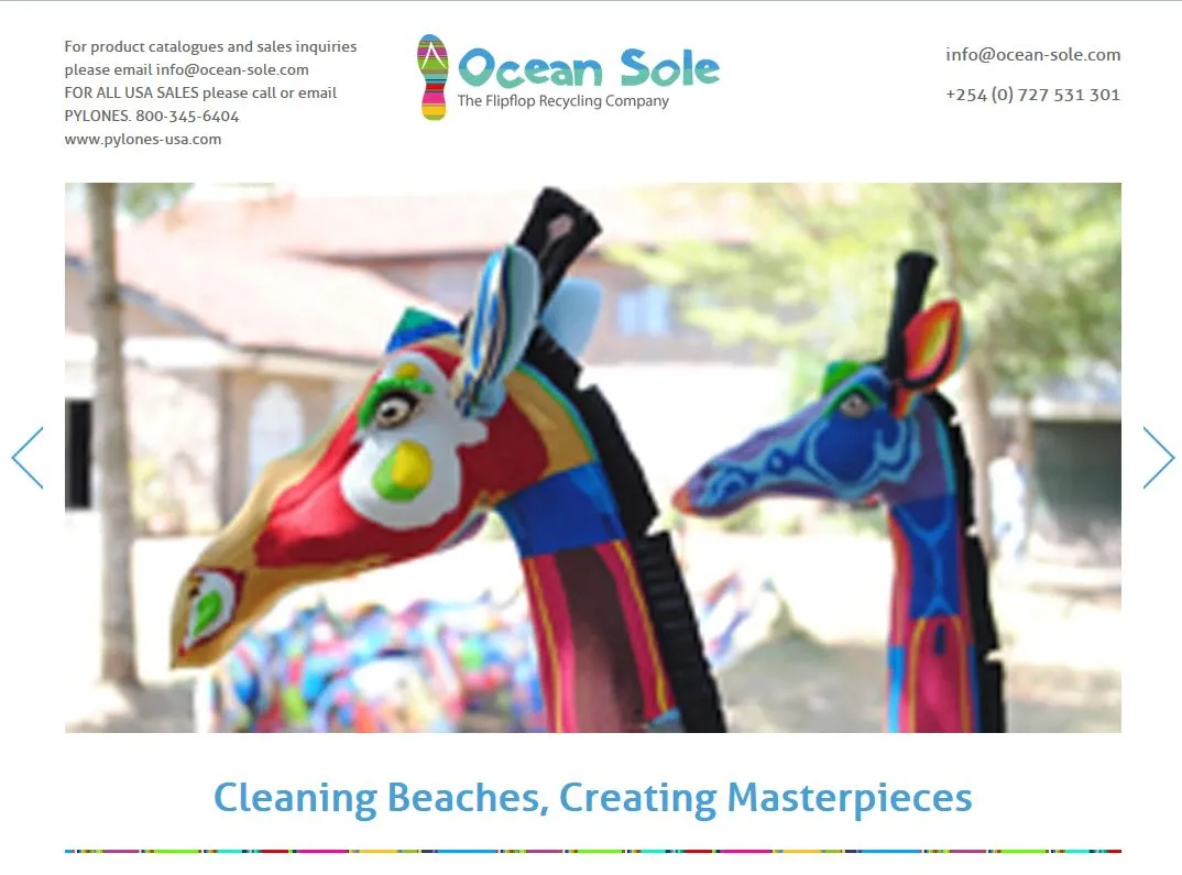 4969987-www-ocean-sole.jpg