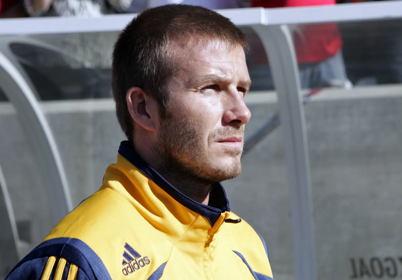 4977110-david-beckham.jpg