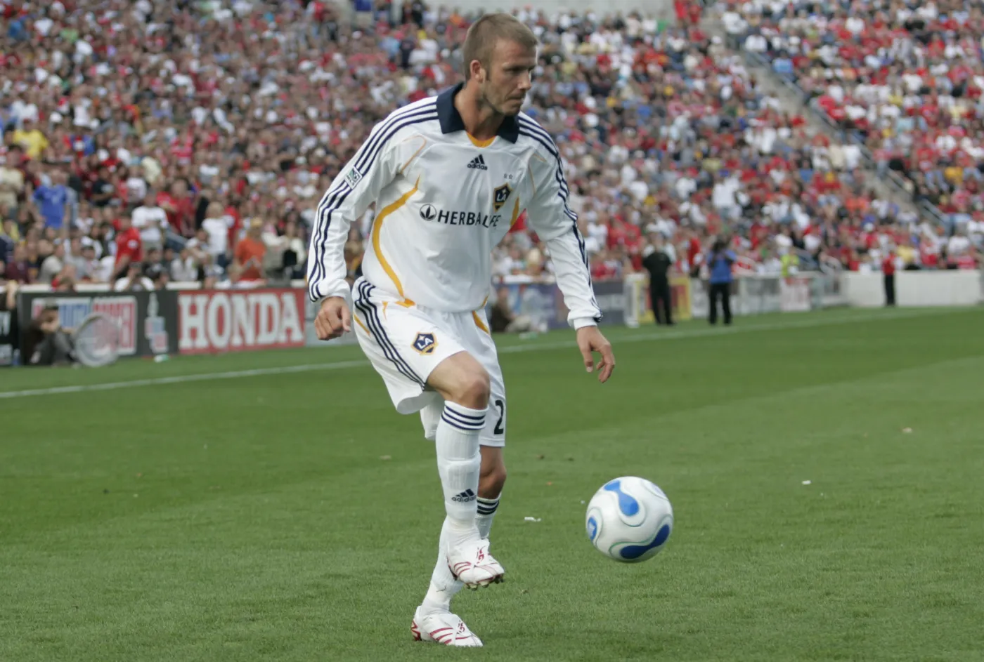 4977224-david-beckham.jpg