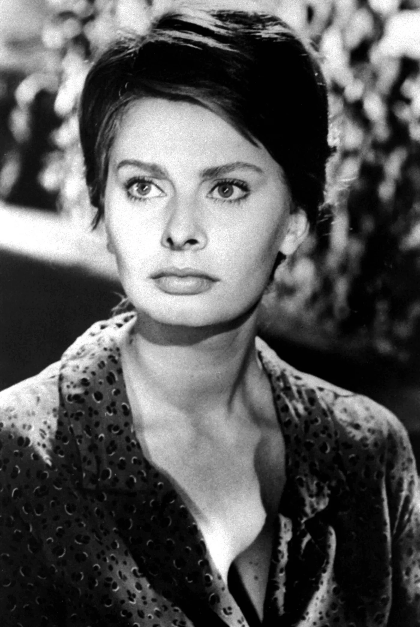 5013074-sophia-loren.jpg
