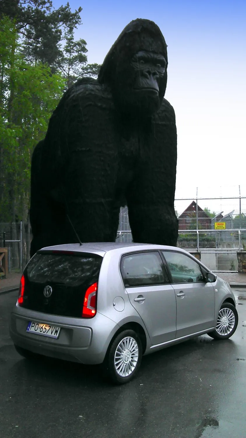 5009131-imag3507-fot.jpg