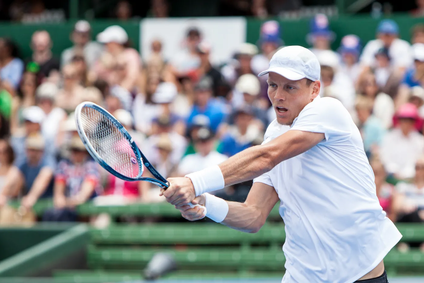 Tomas Berdych