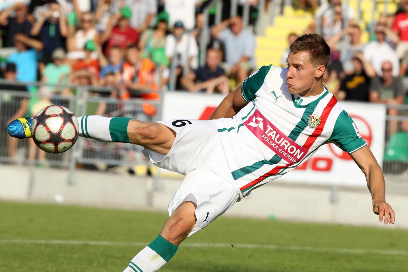 Tomasz Hołota