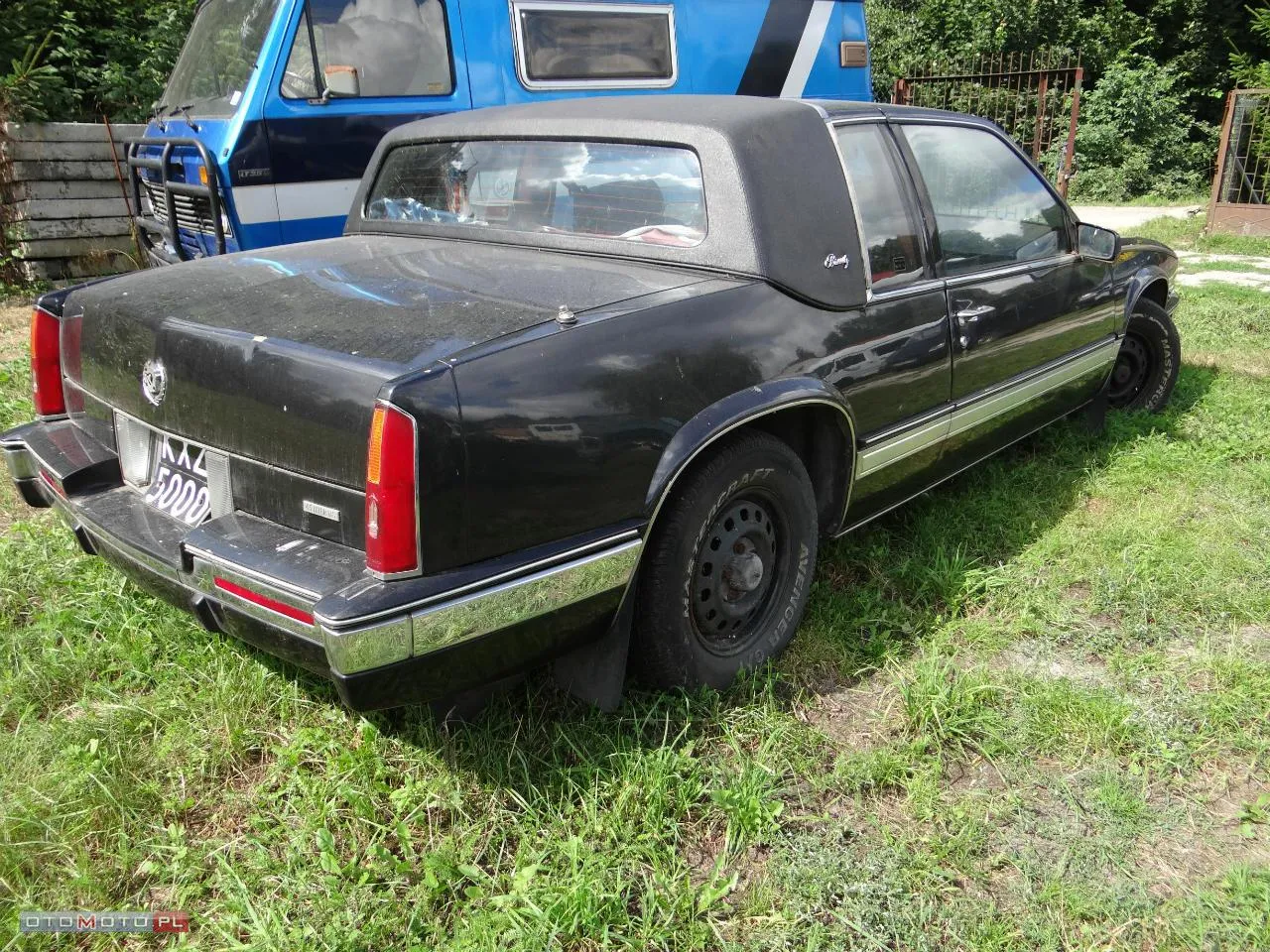 5326444-c30268346-6.jpg