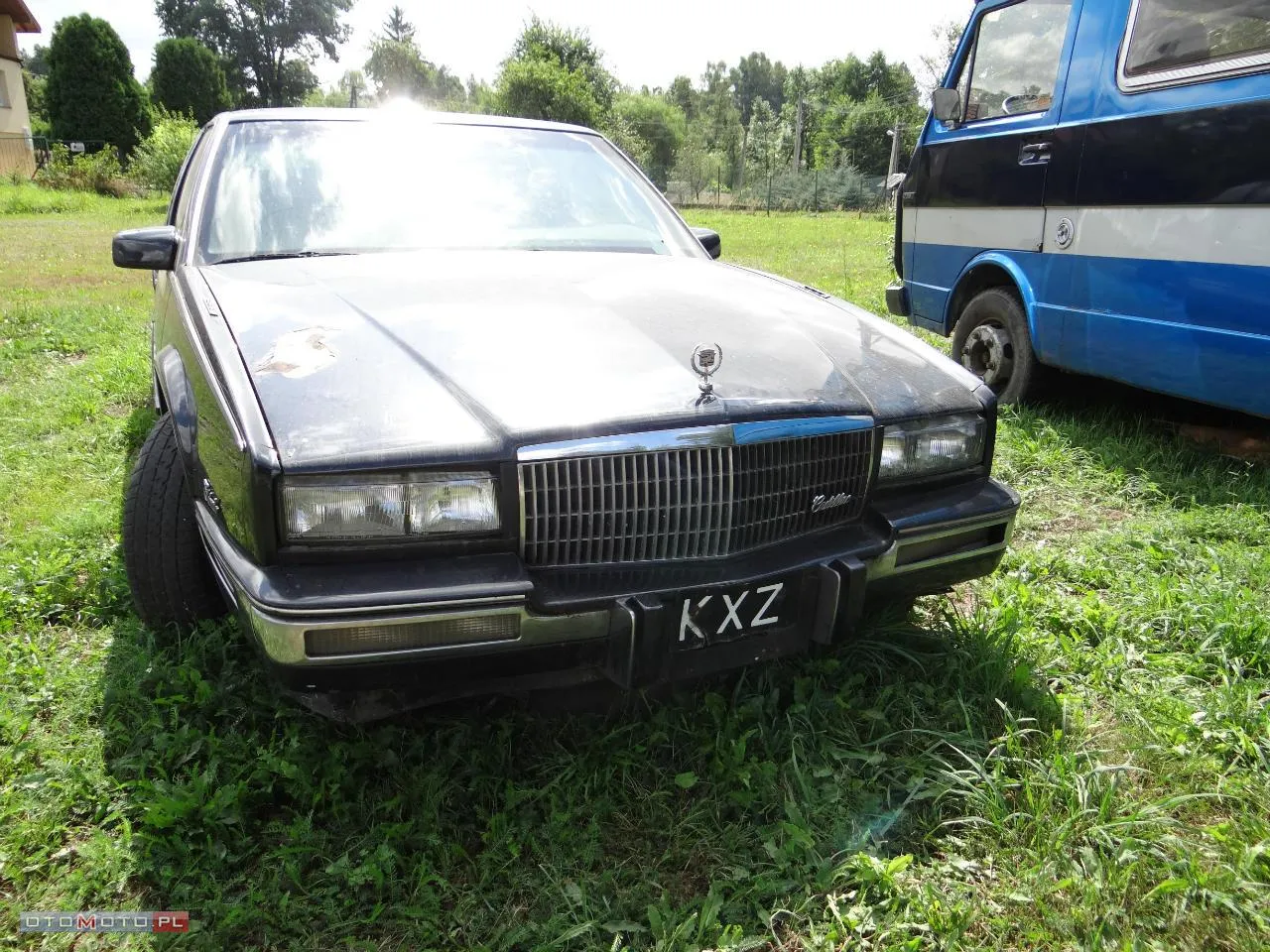 5326386-c30268346-4.jpg