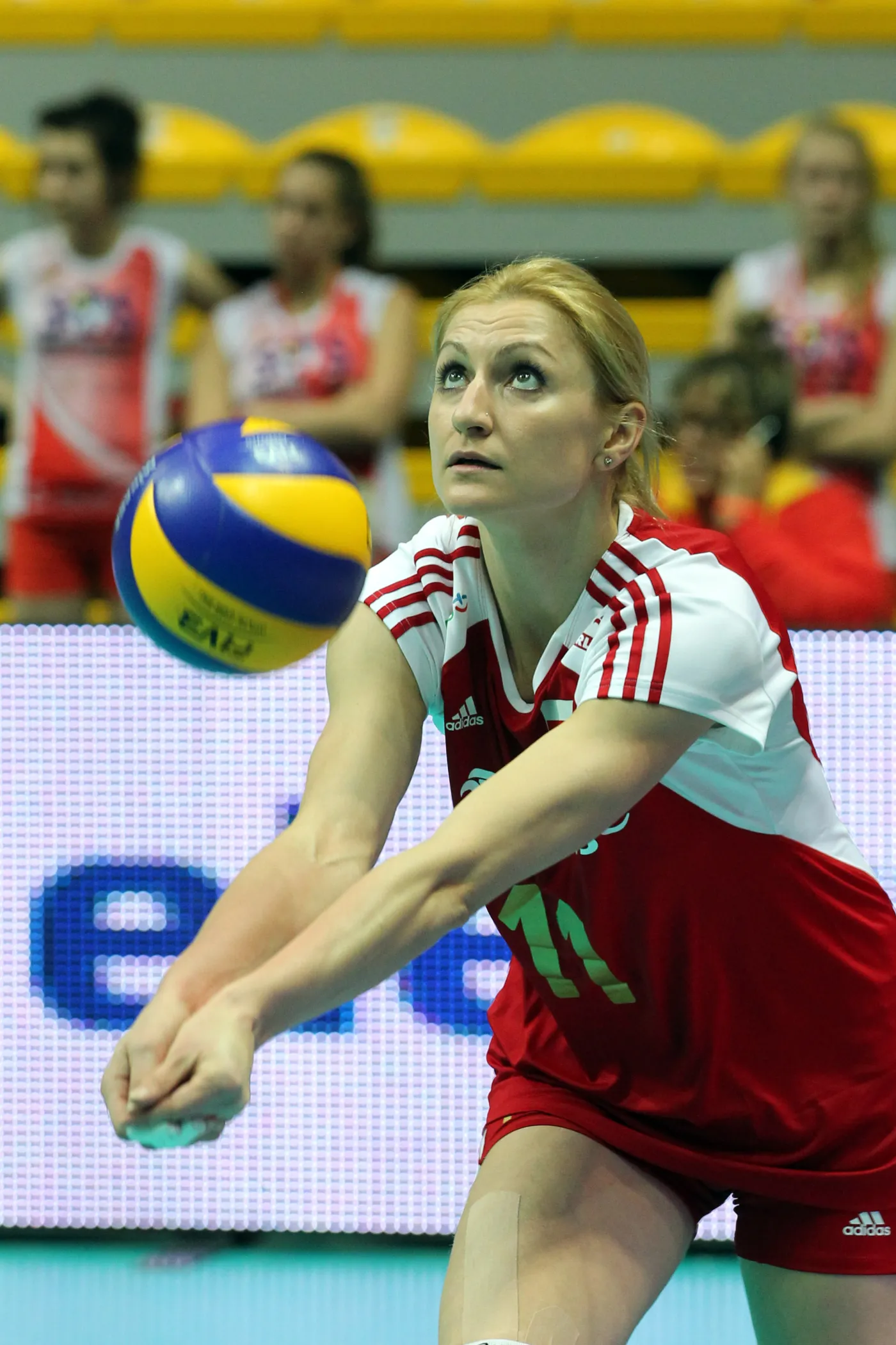 5446400-sylwia-pycia.jpg