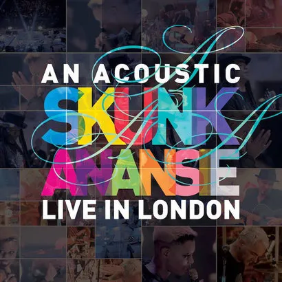 5487260-skunk-anansie.jpg