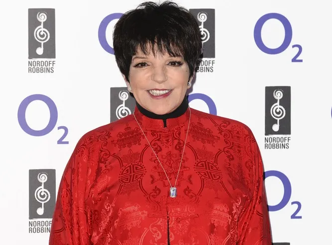 5769859-liza-minelli.jpg