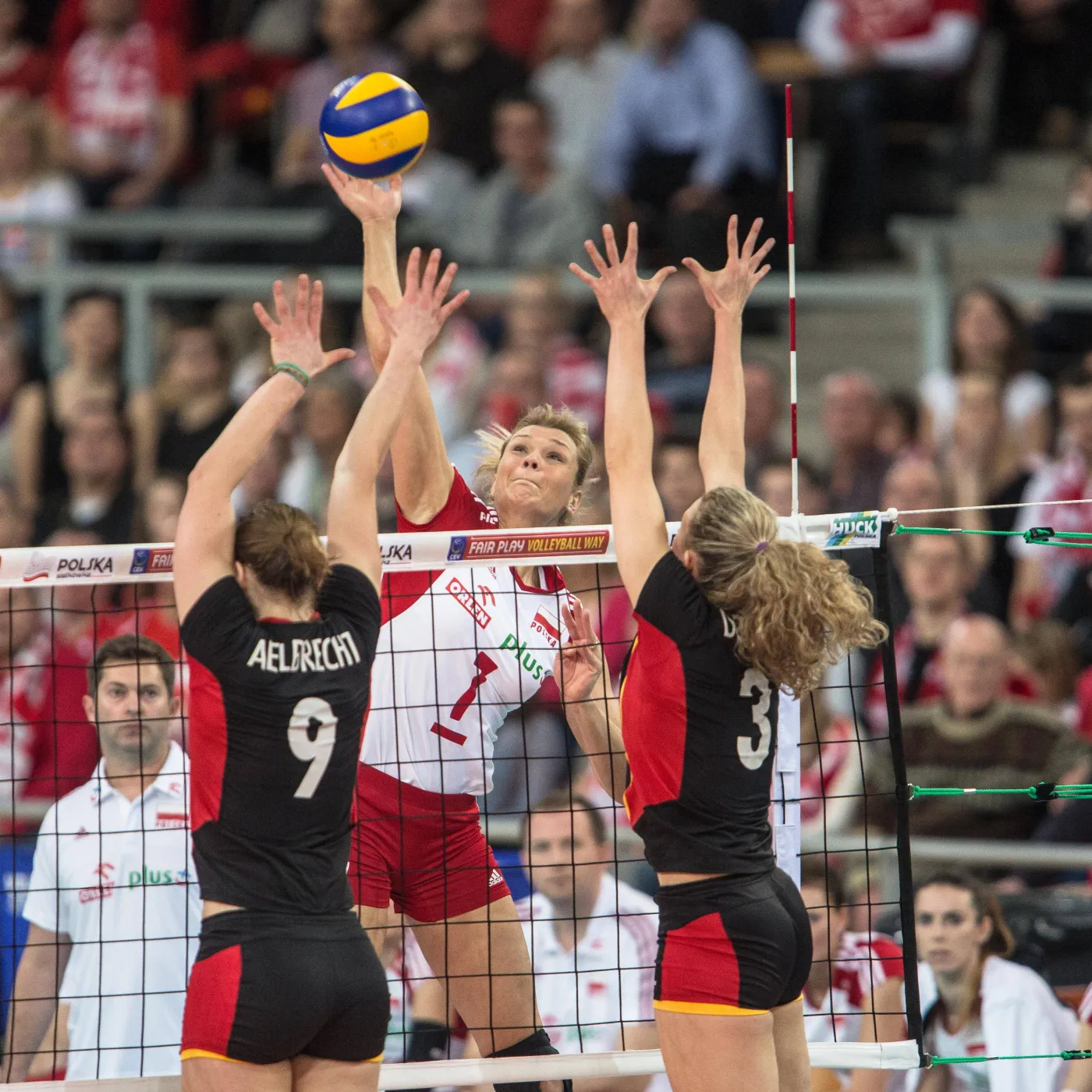 5800843-polska-belgia.jpg