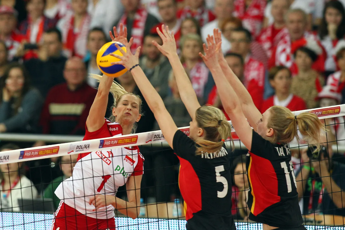 5801017-polska-belgia.jpg