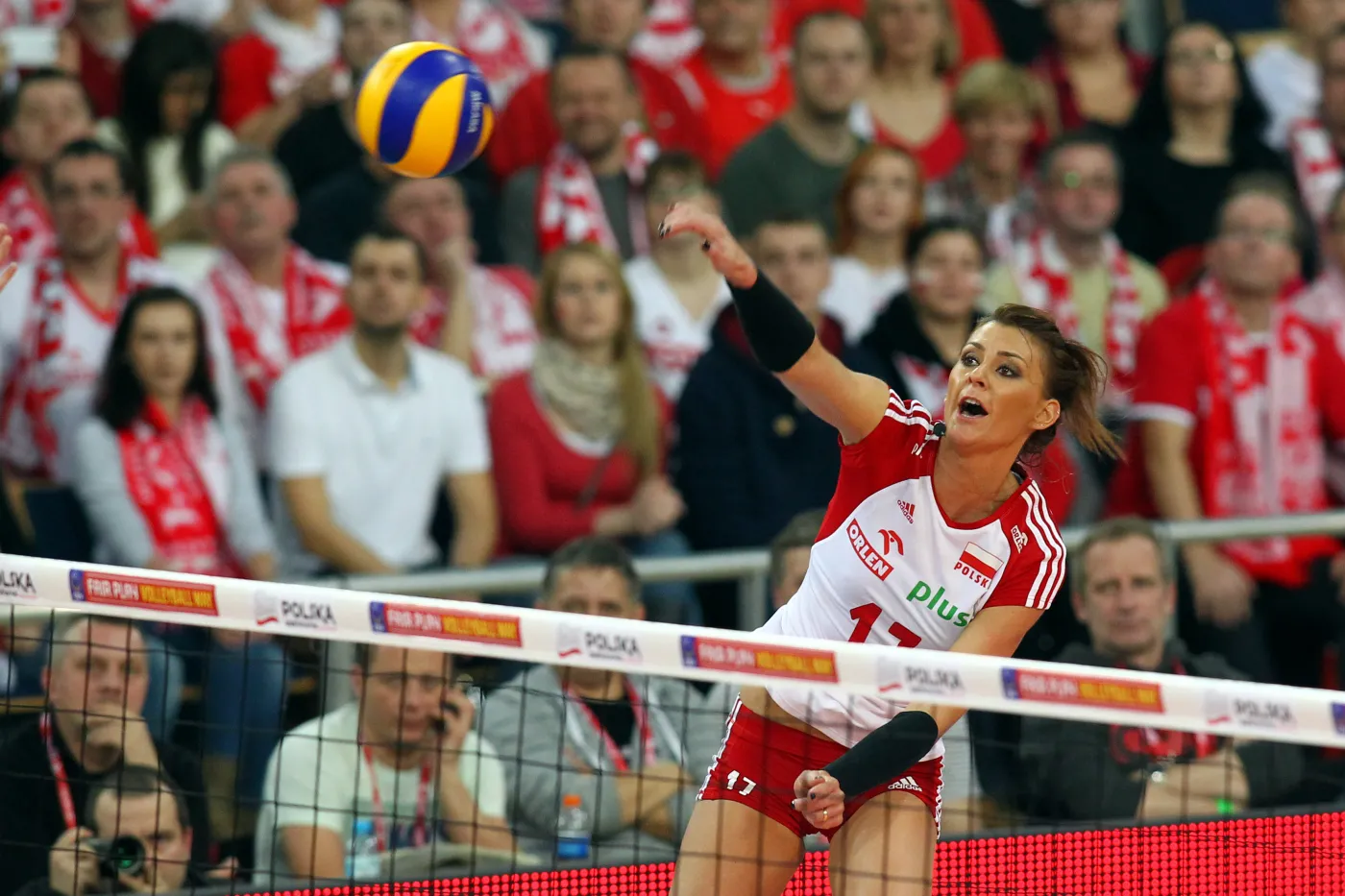 5801046-polska-belgia.jpg
