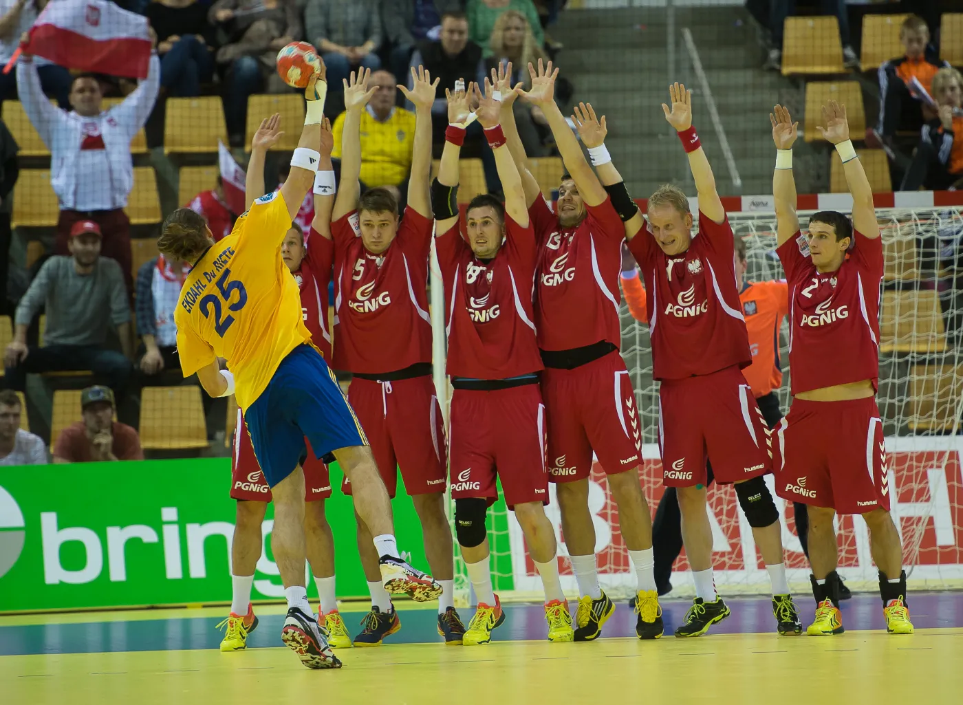 5858407-polska-szwecja.jpg