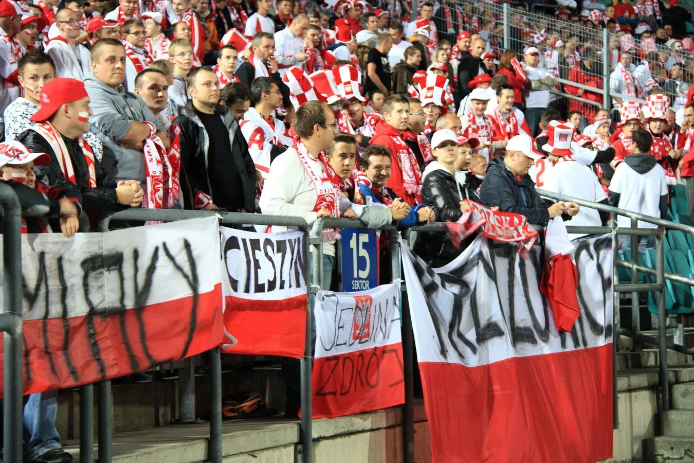 Polscy kibice
