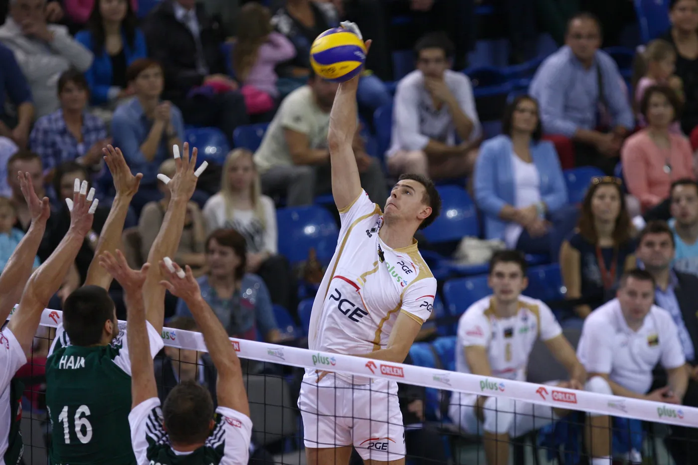 Mariusz Wlazły