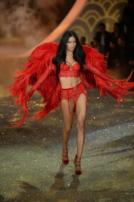 5631539-adriana-lima.jpg