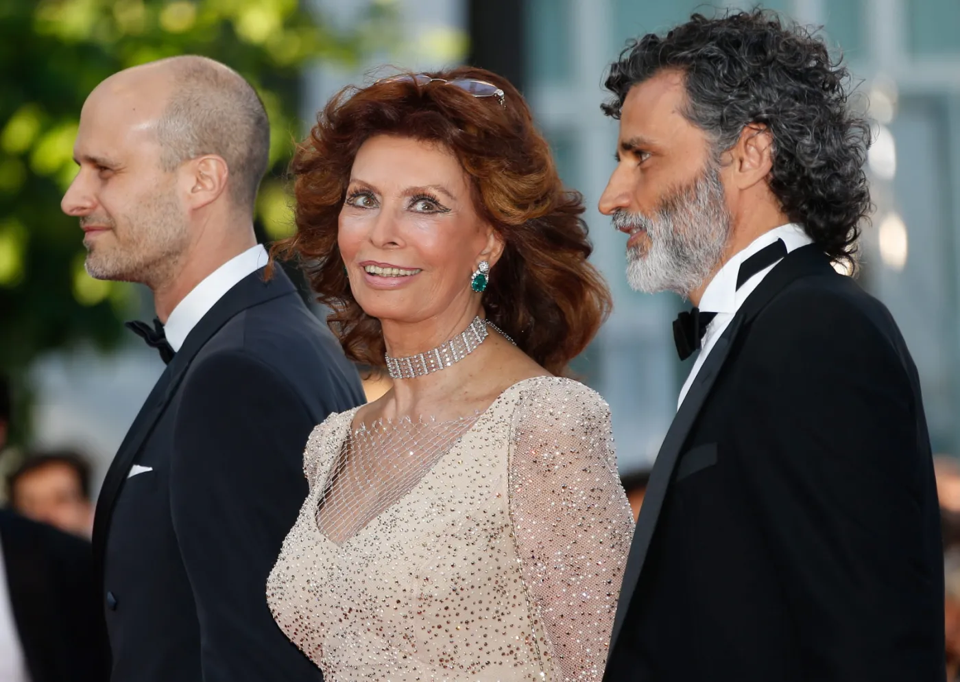 6319679-sophia-loren.jpg