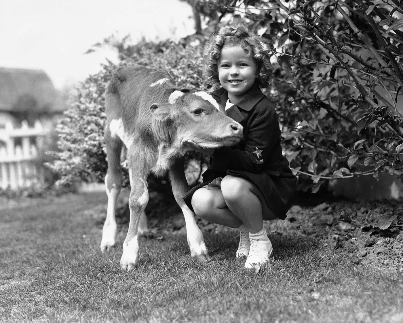 5923015-shirley-temple.jpg