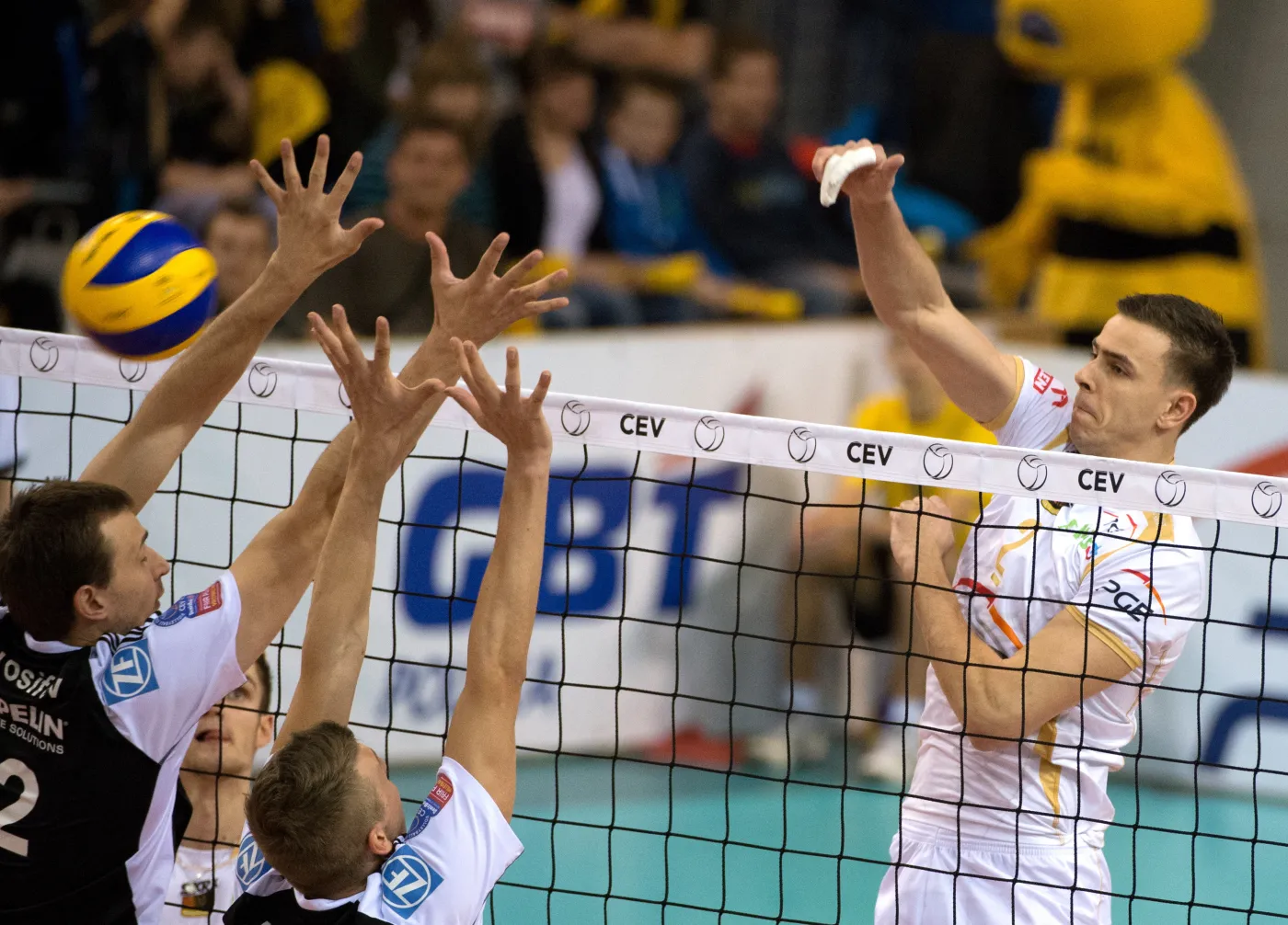 Mariusz Wlazły