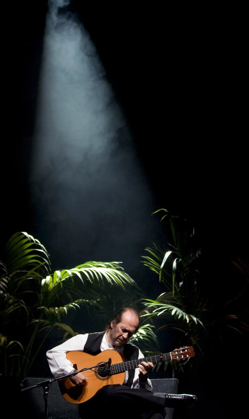 5986468-paco-de-lucia.jpg