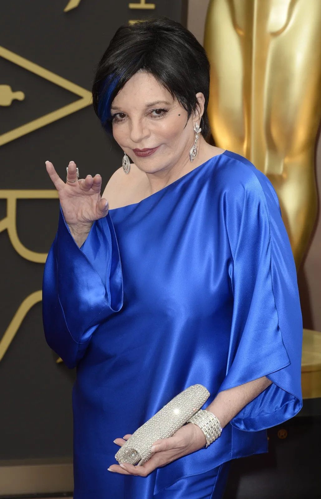 6004075-liza-minelli.jpg