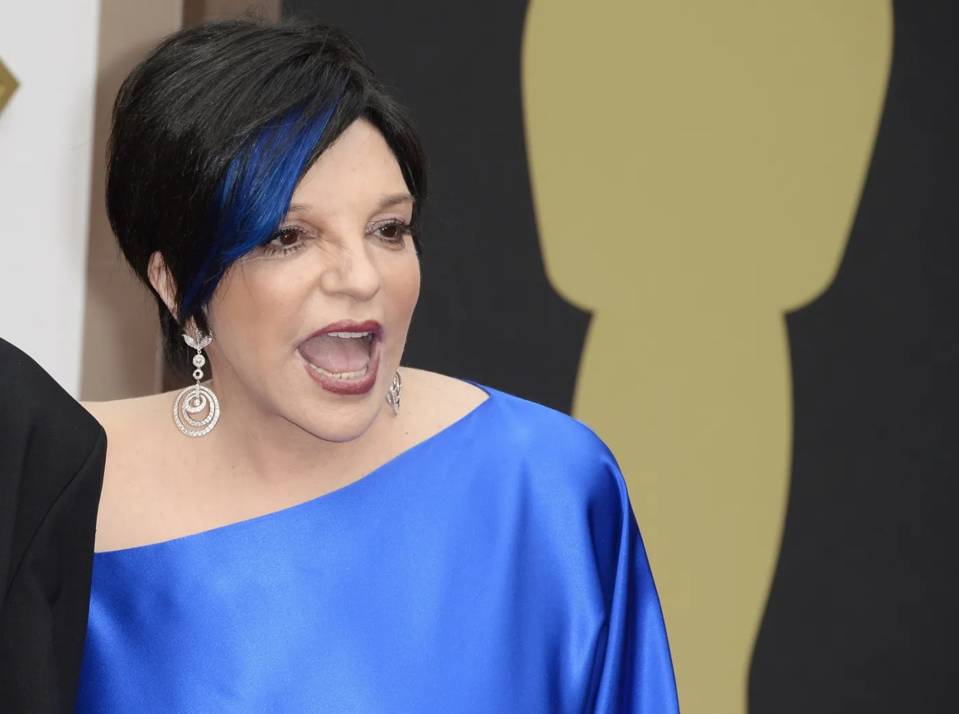 6004104-liza-minelli.jpg