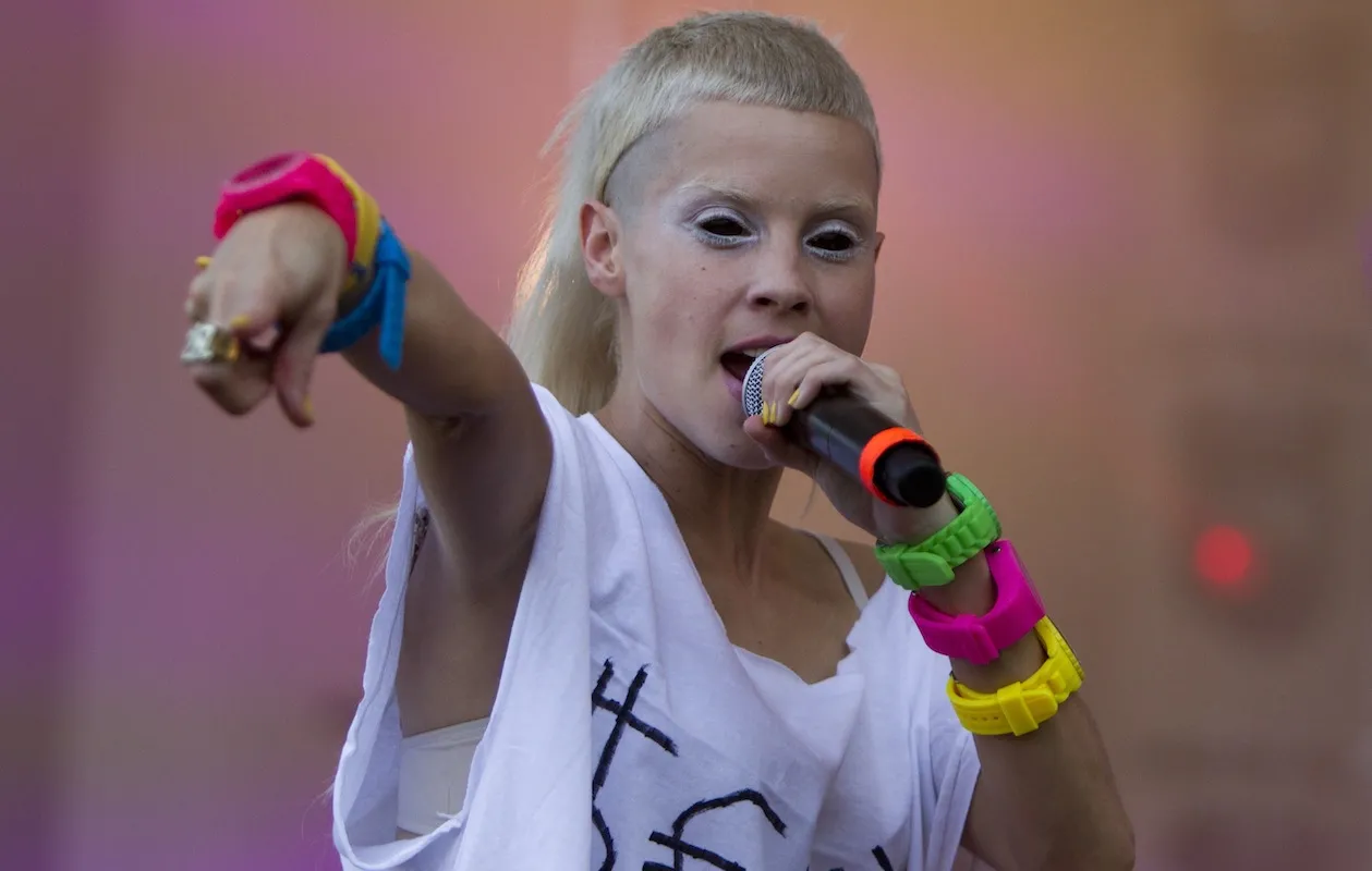 Die Antwoord