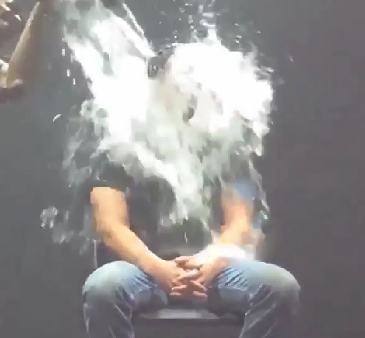 6694810-splash-drake.jpg