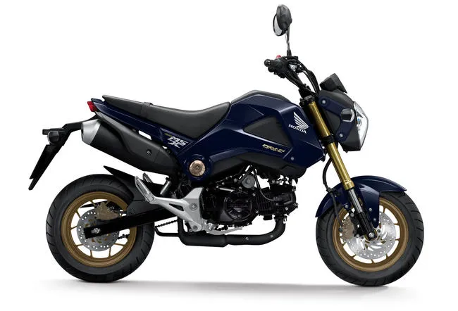 6709115-honda-msx125.jpg