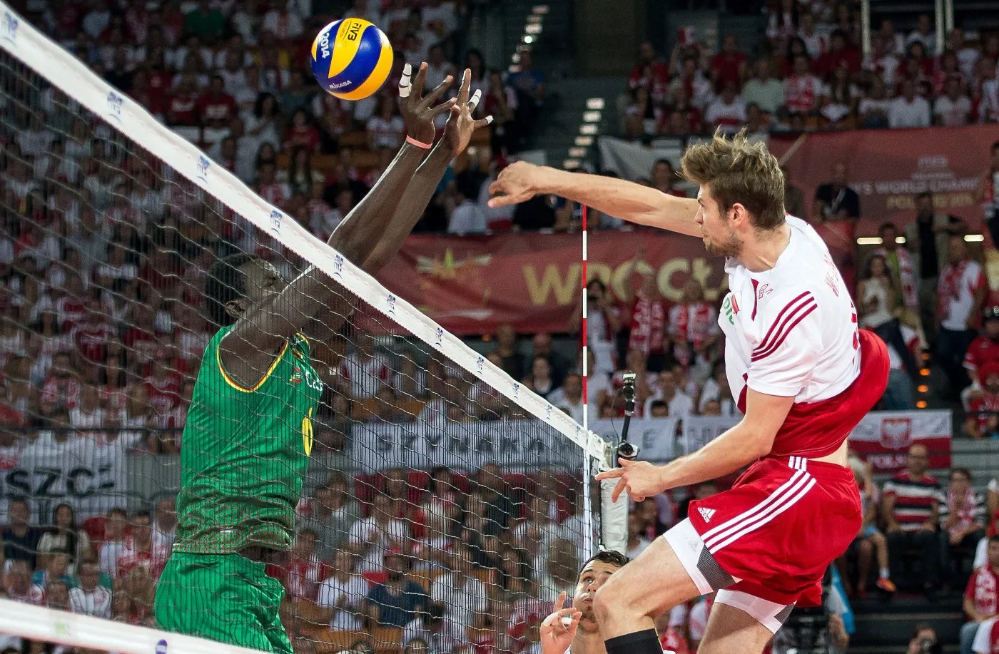 Polska - Kamerun