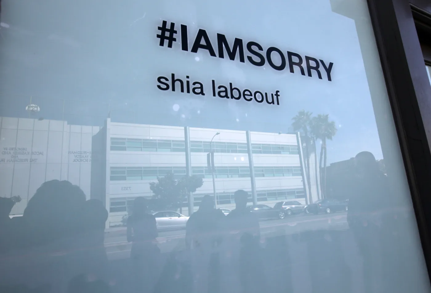 6495938-shia-labeouf.jpg