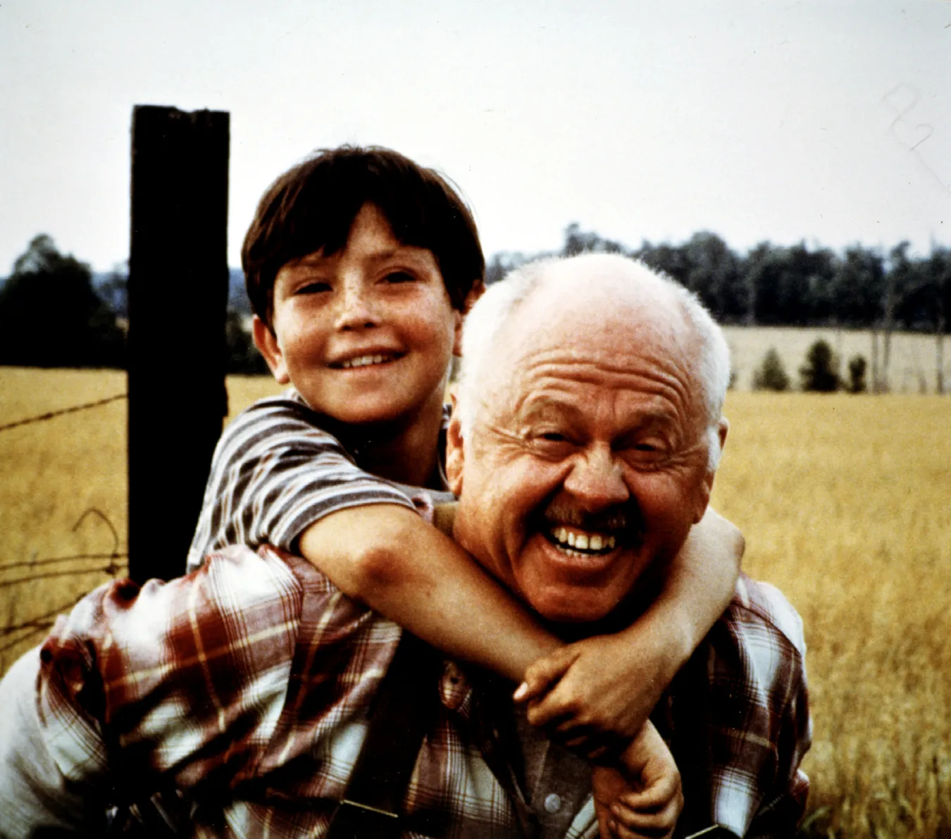 7011373-mickey-rooney.jpg