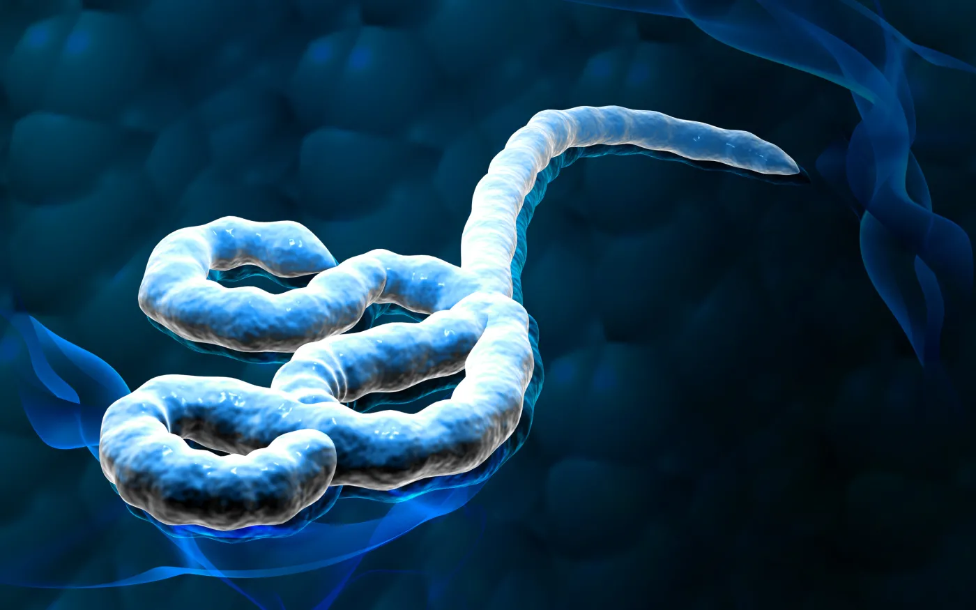 Wirus Ebola