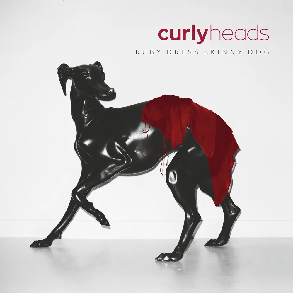 7055537-curly-heads.jpg