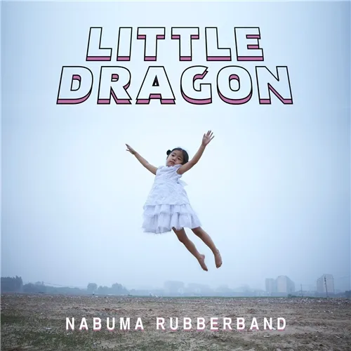 7087639-little-dragon.jpg